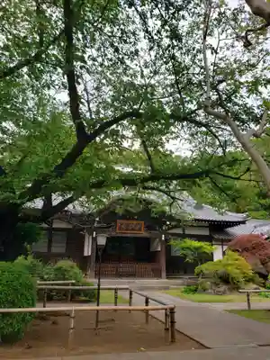 大円寺の本殿・本堂