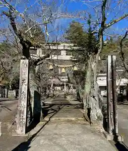 天鷹神社(岐阜県)(2025年11月28日(金) 21時00分22秒投稿)