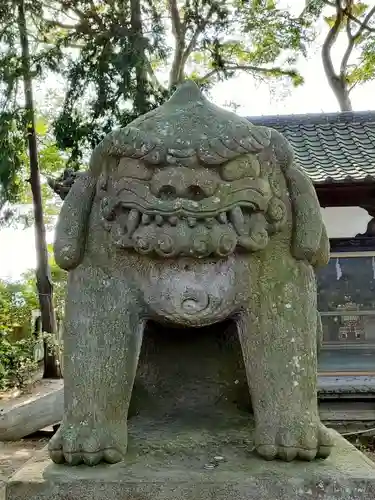 三島八幡神社の狛犬