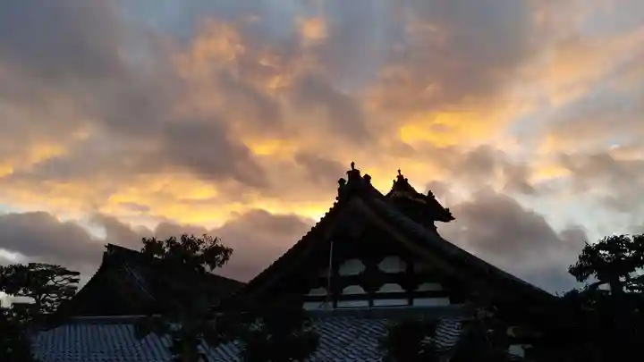 妙心寺(妙心禅寺)の自然