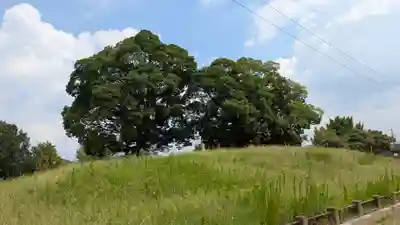 史跡 西寺趾(京都府)