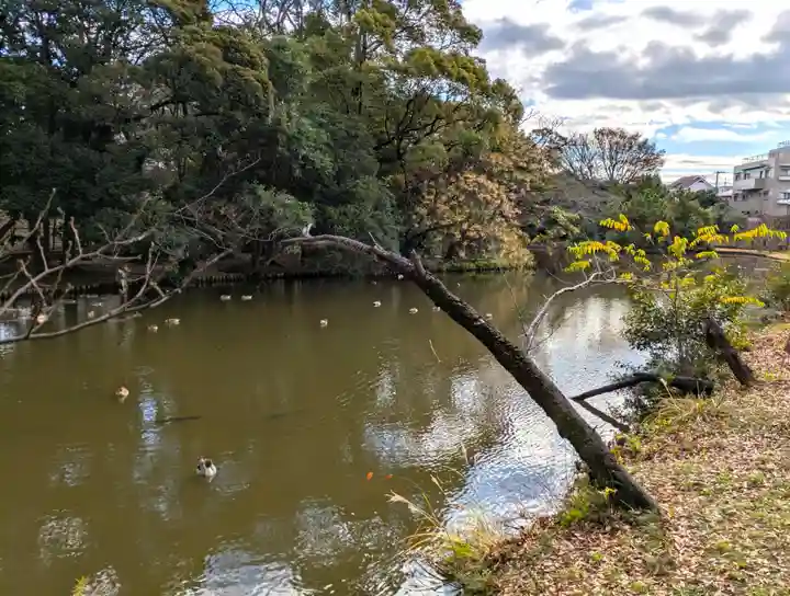 菊田神社(千葉県)