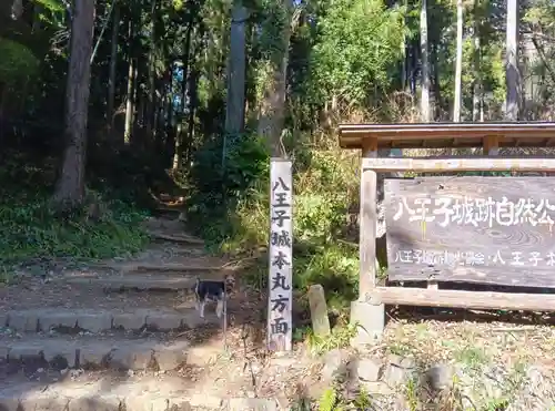 八王子神社(東京都)