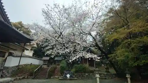 八幡社(愛知県)