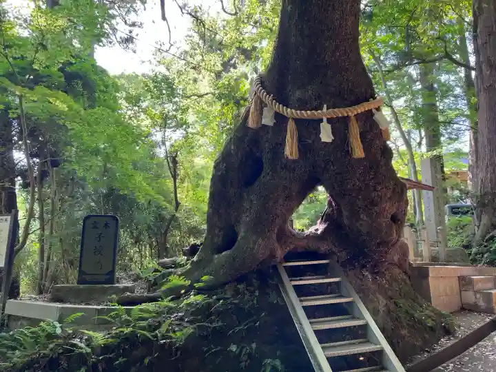 笠森寺(千葉県)