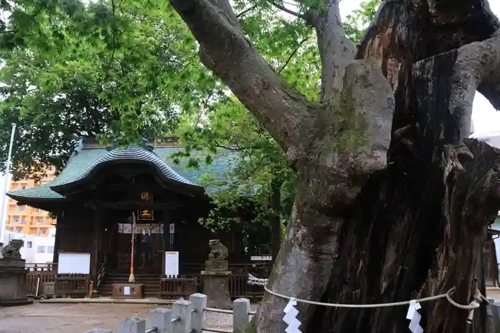 阿邪訶根神社の本殿・本堂