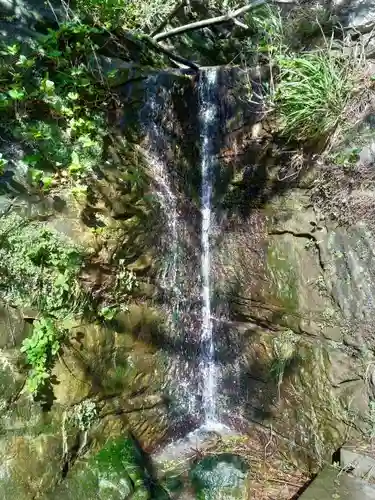 高養寺の自然