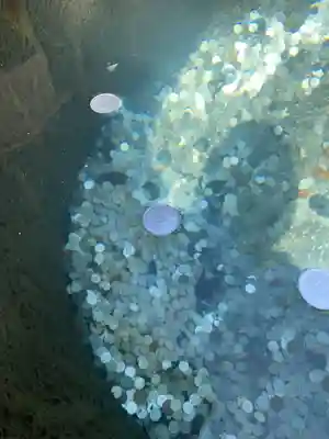 金刀比羅宮(香川県)