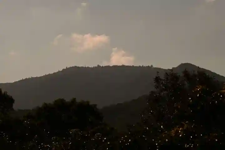 宇佐神宮の景色