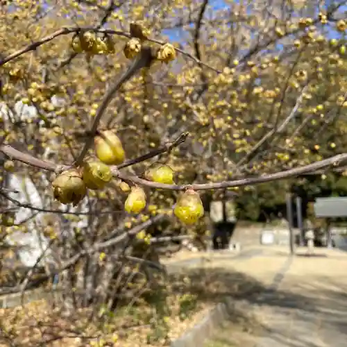 横浜　西方寺(神奈川県)