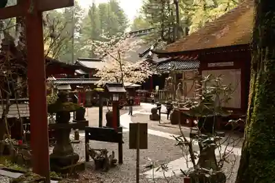 日光二荒山神社(栃木県)