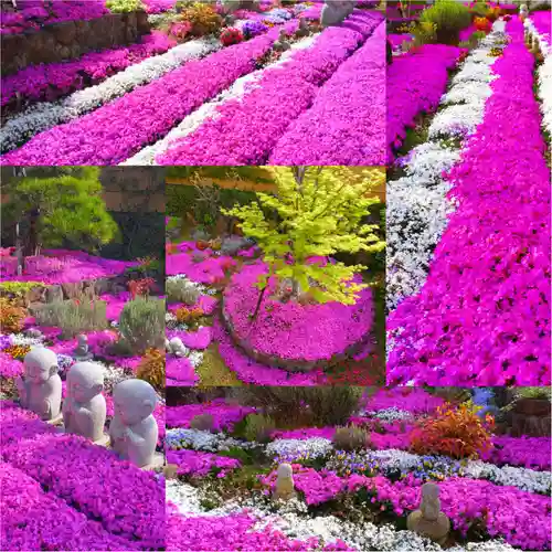 寿量山　速成寺(奈良県)