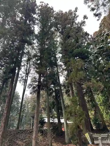 大宮温泉神社(栃木県)
