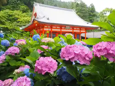 勝尾寺のその他建物