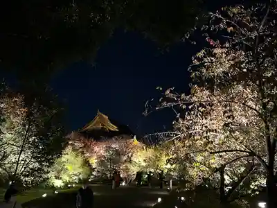 東寺（教王護国寺）(京都府)