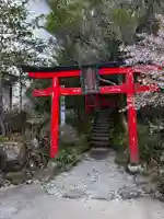 箱根神社の鳥居
