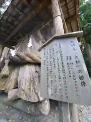 小國神社の自然