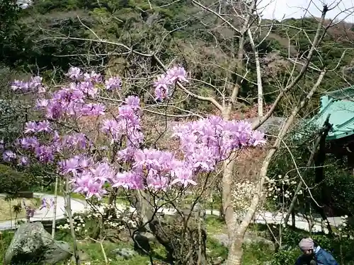 光則寺の景色