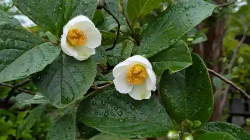 真正極楽寺（真如堂）(京都府)