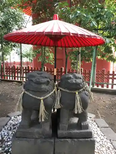 浅草神社の狛犬