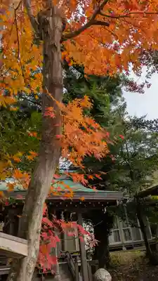 梅之宮神社(江文神社境外摂社・御旅所)(京都府)