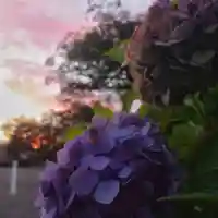 尾張大國霊神社(国府宮)の自然