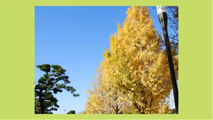 大嘗宮(東京都)
