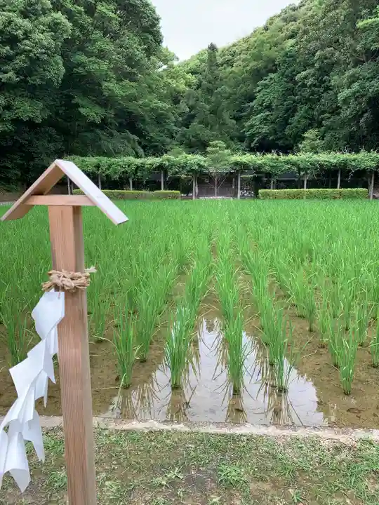 猿田彦神社(三重県)