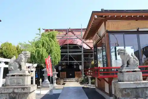 大鏑神社の狛犬