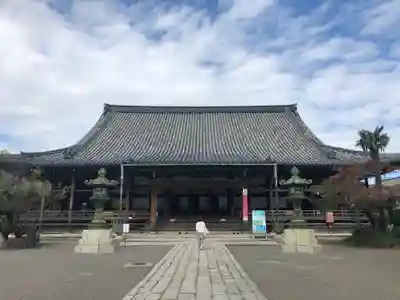 大通寺(長浜御坊)の本殿・本堂