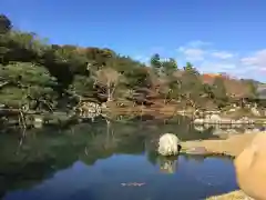 天龍寺の景色