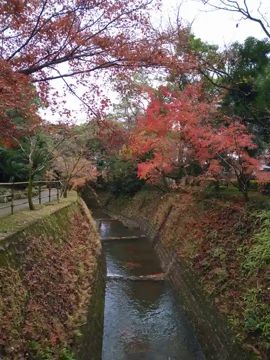 猫神社(鹿児島県)