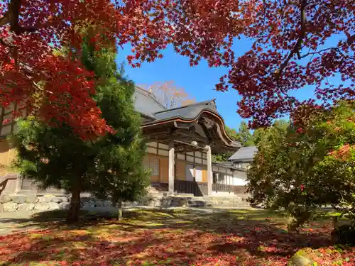 興聖寺の本殿・本堂