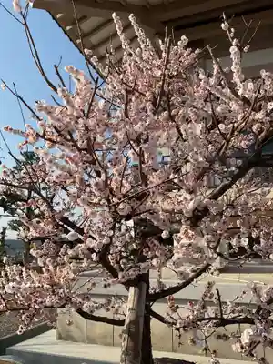 正眼寺(愛知県)