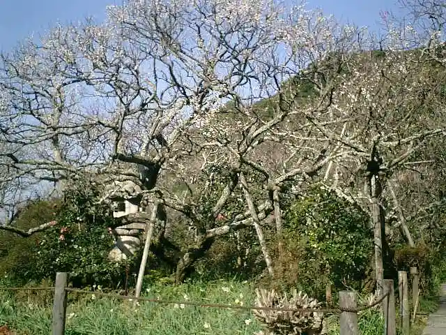 瑞泉寺のその他建物