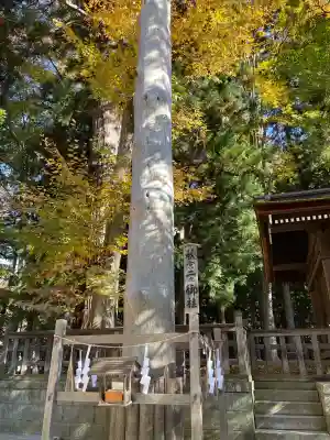 諏訪大社下社秋宮(長野県)