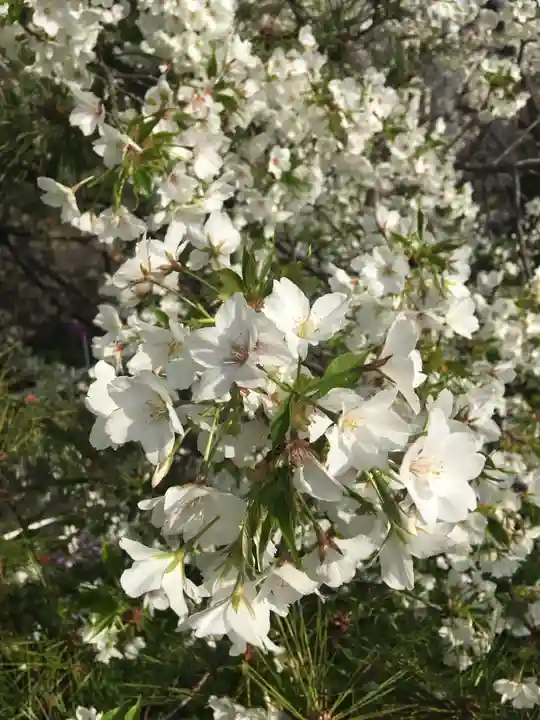 豊川稲荷東京別院の自然