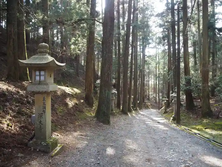 比叡山延暦寺の自然