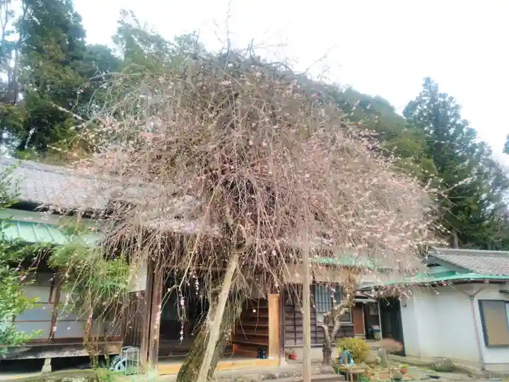 接心庵のその他建物