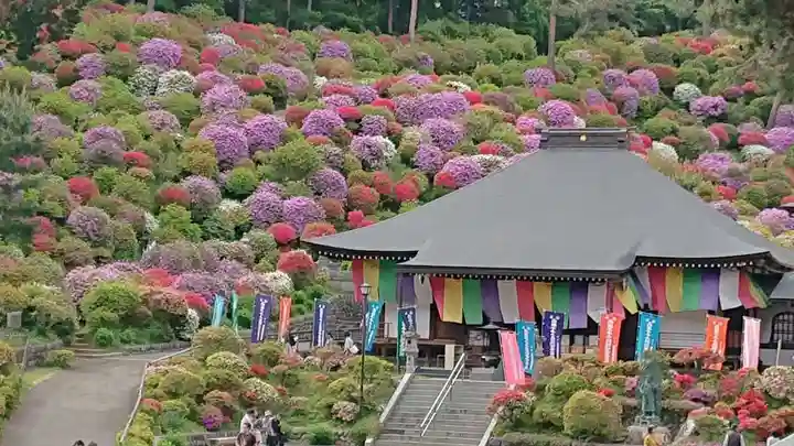 塩船観音寺の庭園