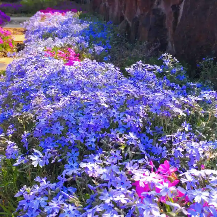 寿量山 速成寺の自然