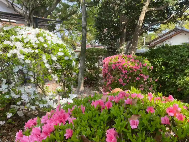 美奈宜神社の自然