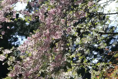 土津神社｜こどもと出世の神さまの自然