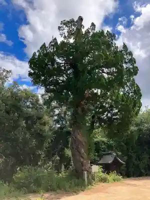亀山八幡宮(香川県)