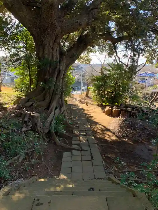 坂月神社(千葉県)