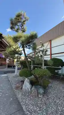 亀田龍神社(北海道)