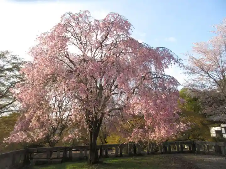 吉野神宮の自然