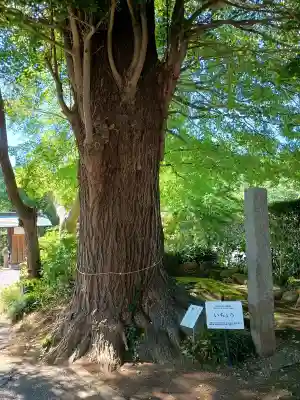 清瀧寺の{uncategorized: "未分類", other: "その他", undefined: "問題あり", building: "その他建物", grave: "お墓", sacred_gate: "鳥居", guardian: "狛犬", statue: "像", buddha: "仏像", history: "歴史", nature: "自然", garden: "庭園", animal: "動物", pagoda: "塔", temizu: "手水舎", mountain_gate: "山門・神門", sanctuary: "本殿・本堂", subordinate: "末社・摂社", art: "芸術", scenery: "景色", jizo: "地蔵", ema: "絵馬", goshuin: "御朱印", omikuji: "おみくじ", items: "授与品その他", amulet: "お守り", goshuincho: "御朱印帳", eats: "食事", festival: "お祭り", votive_dance: "神楽", shichigosan: "七五三参", wedding: "結婚式", experience: "体験その他", initially: "初詣", around: "周辺", anti_infection: "感染症対策"}