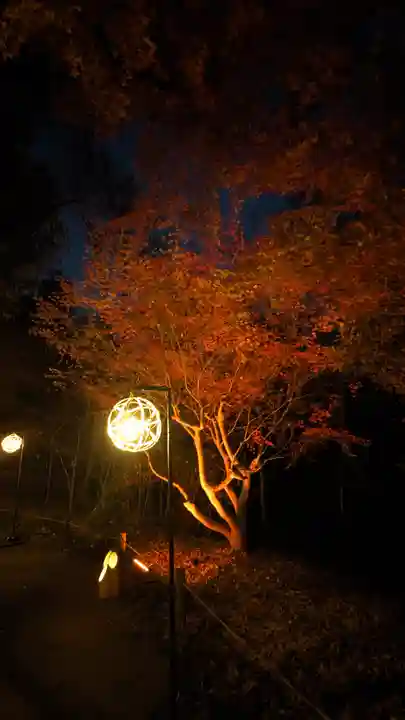 賀茂御祖神社(下鴨神社)(京都府)
