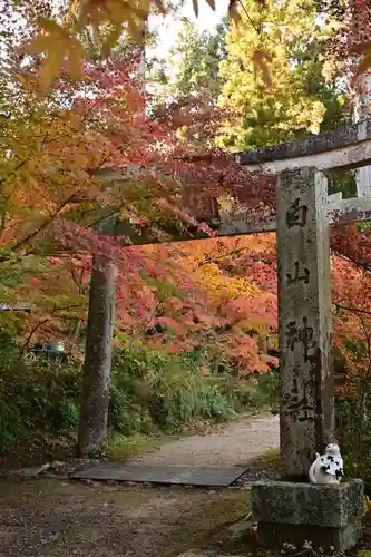 国宝　長寿寺(滋賀県)